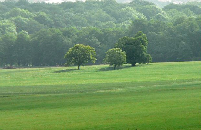 disparition terres naturelles