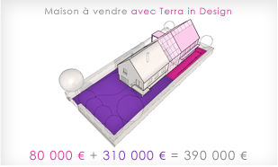 géomètre expert bornage division terrain